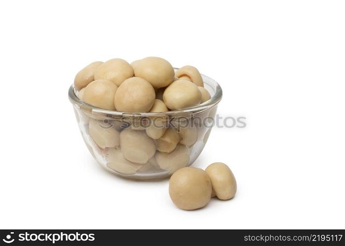small dish of tasty canned sliced mushrooms isolated on white background. small dish of tasty canned sliced mushrooms.
