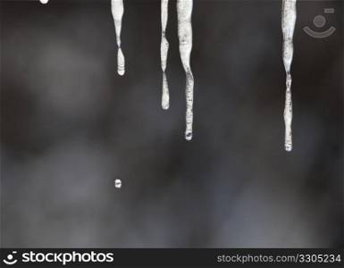 Small drop of water drips off the end of a series of icicles
