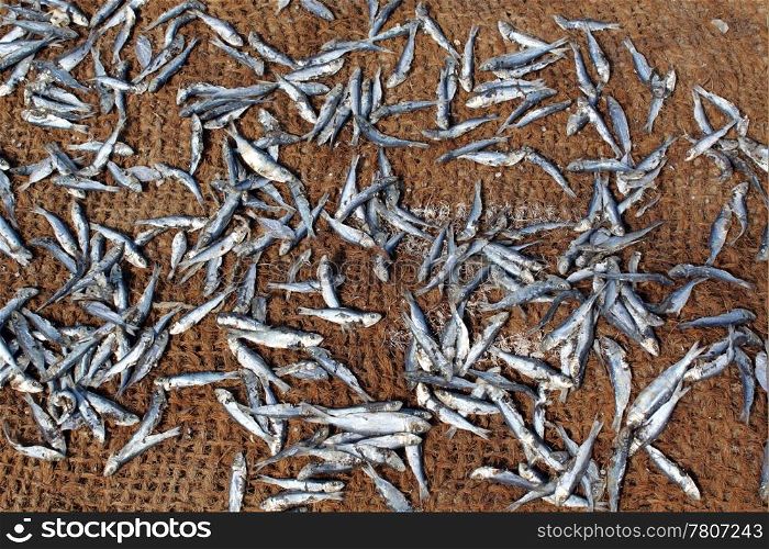 Small dry fish on the carpet in Sri Lanka