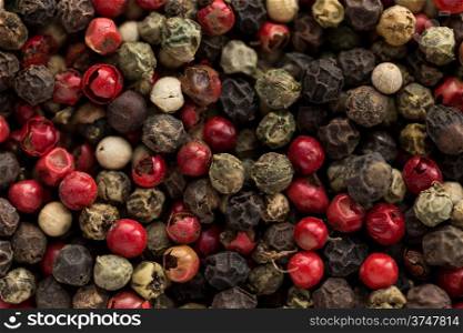 small dry peppercorn any colors in food background
