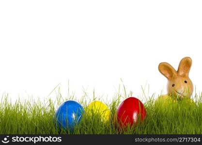 small easter bunny with easter eggs in grass. small easter bunny with easter eggs in grass with white background