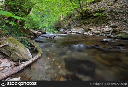 Small Endert creek in a side valley of the Moselle river close to Cochem during springtime, Germany