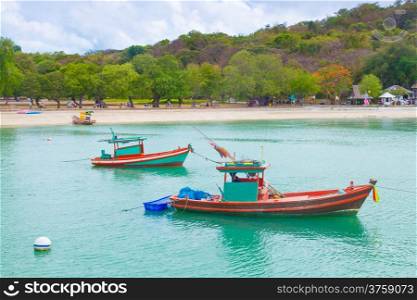 Small fishing boats moored in the sea. Behind the mountains and trees.