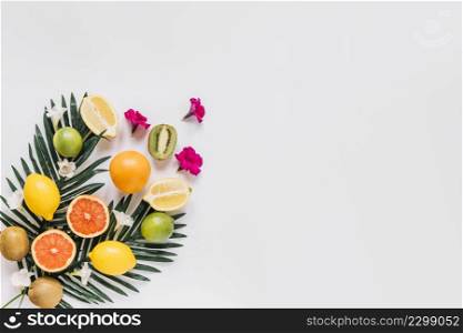small flowers near citruses leaves