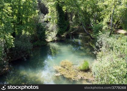 Small forest river at day time in Turkey