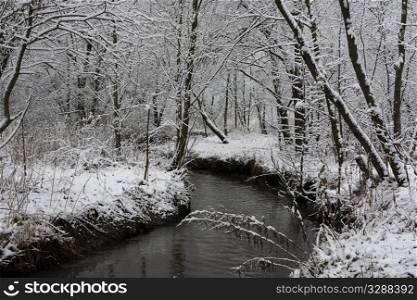 small forest river in winter