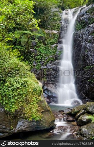 Small Forest Waterfall in spring