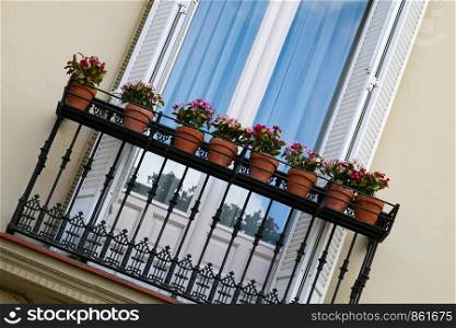 Small french balcony with plants in pot