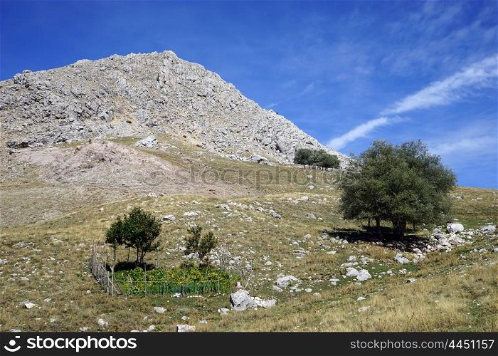 Small gaarden on the slope of mount, Turkey