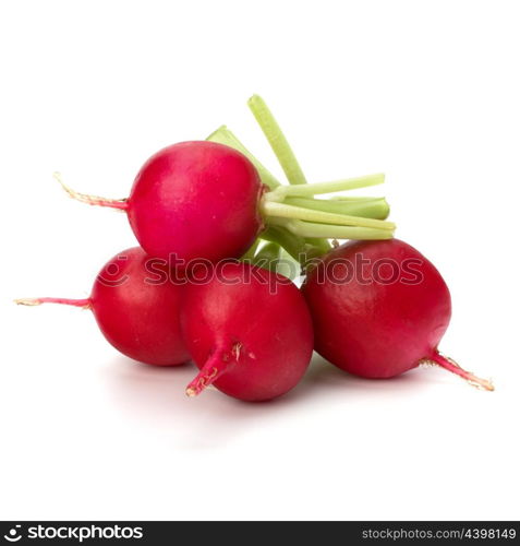 Small garden radish isolated on white background