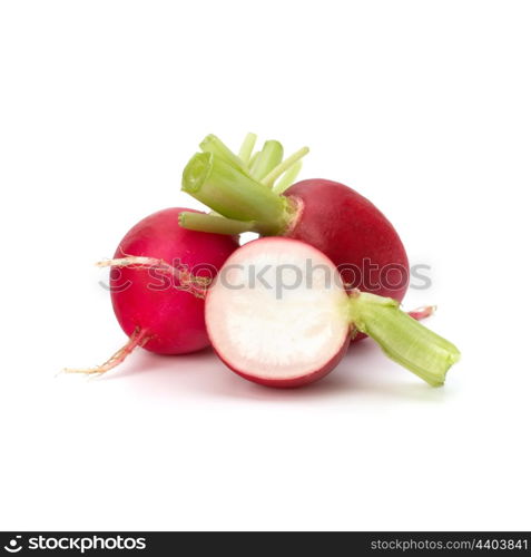 Small garden radish isolated on white background