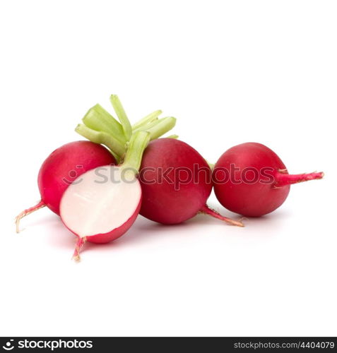 Small garden radish isolated on white background