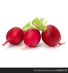 Small garden radish isolated on white background