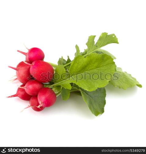 Small garden radish isolated on white background