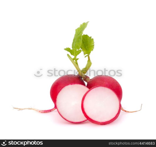 Small garden radish isolated on white background cutout