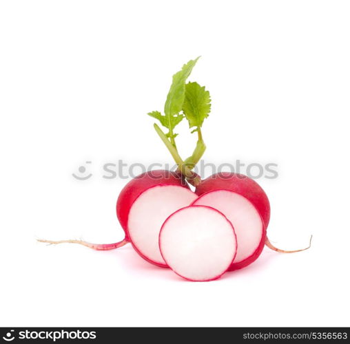 Small garden radish isolated on white background cutout