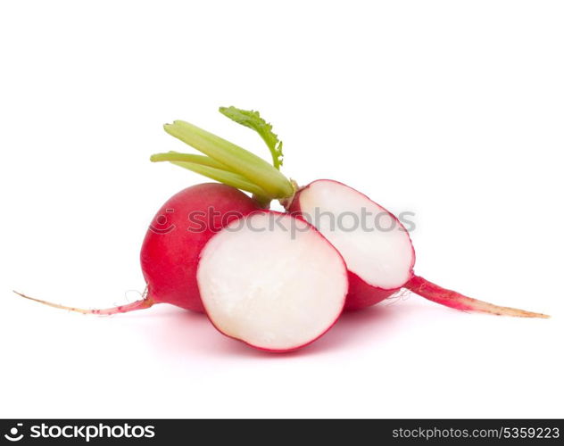 Small garden radish isolated on white background cutout