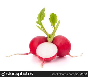 Small garden radish isolated on white background cutout