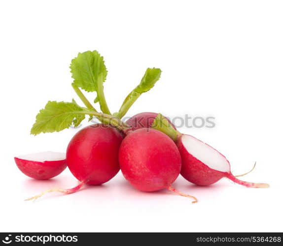 Small garden radish isolated on white background cutout