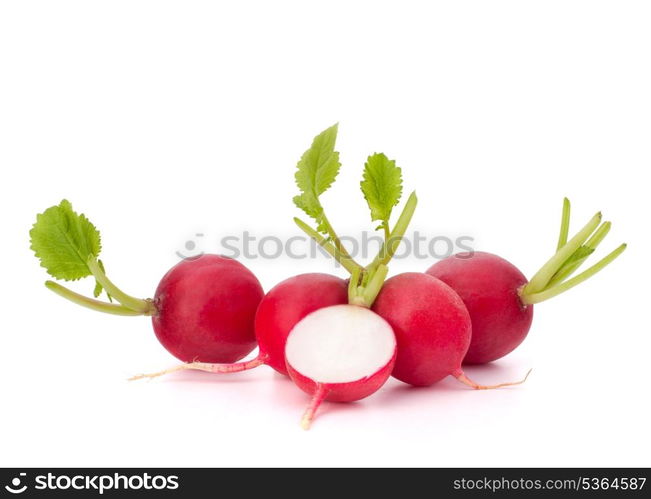 Small garden radish isolated on white background cutout