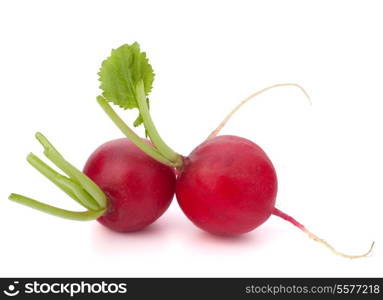 Small garden radish isolated on white background cutout