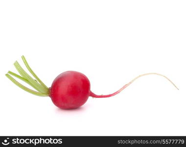 Small garden radish isolated on white background cutout