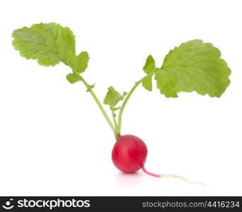 Small garden radish with leaves isolated on white background cutout