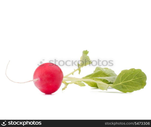 Small garden radish with leaves isolated on white background cutout