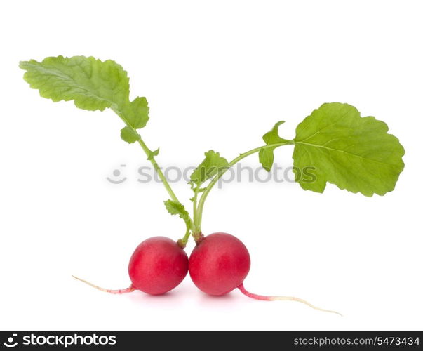 Small garden radish with leaves isolated on white background cutout