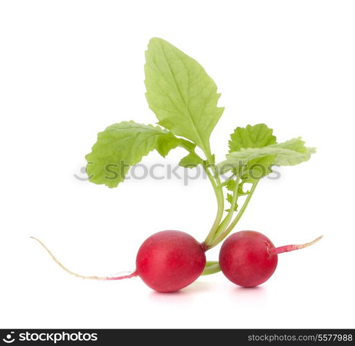 Small garden radish with leaves isolated on white background cutout