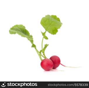 Small garden radish with leaves isolated on white background cutout