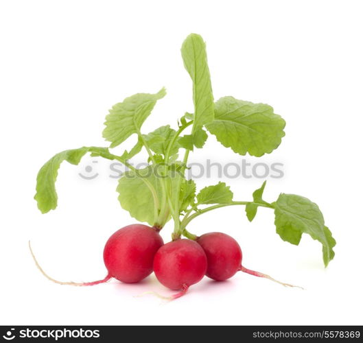 Small garden radish with leaves isolated on white background cutout