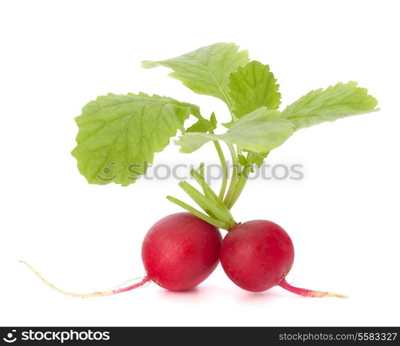 Small garden radish with leaves isolated on white background cutout