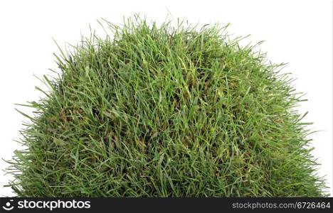 Small Grass Turf Hillock Isolated on White Background