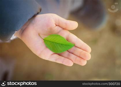 Small green leaf in child hand on palm. Conceptual design nature.