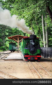 small green old steam locomotive rides on rails