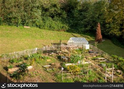 Small greenhouse in a green vegetable garden. Greenhouse in a vegetable garden