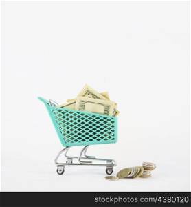small grocery cart with money