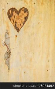 Small heart shape in piece of wood. Romantic detail close up concept.. Small heart shape in piece of wood
