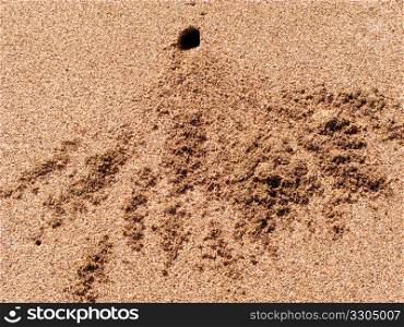 Small hole and resultant sand piles formed by crab digging into the ground