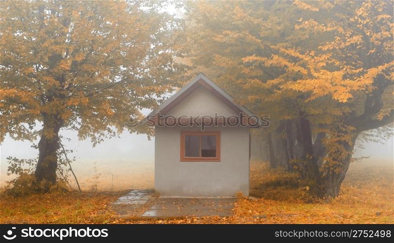 Small house in foggy forest. Autumn weather