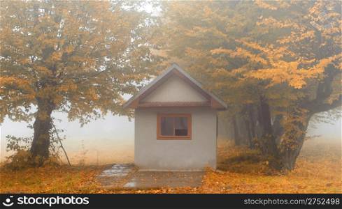 Small house in foggy forest. Autumn weather
