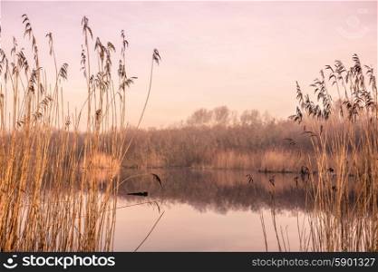 Small idyllic lake on a misty autumn morning