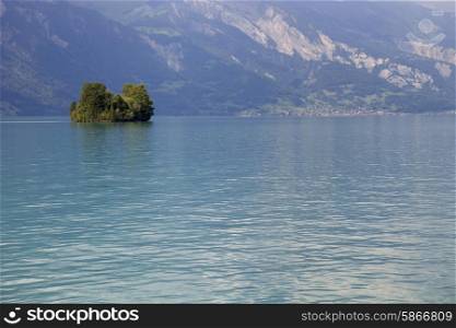 Small island in the lake, Interlaken, Switzerland