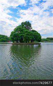 Small island with tall trees in the center of the pond