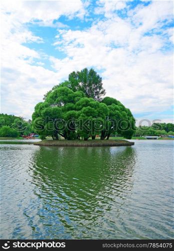 Small island with tall trees with a heart-shaped shadow in the center of the pond
