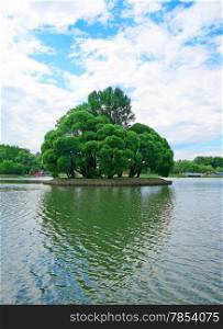 Small island with tall trees with a heart-shaped shadow in the center of the pond