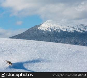 Small juniper plant sprout on snow surface with crystalline snowflakes and mountain behind (nature macro background for winter concepts). Composite image with considerable depth of field sharpness.