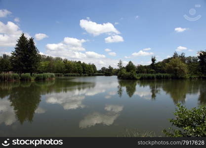 Small lake at a sunny summer day. Some little cloud on the blue sky.