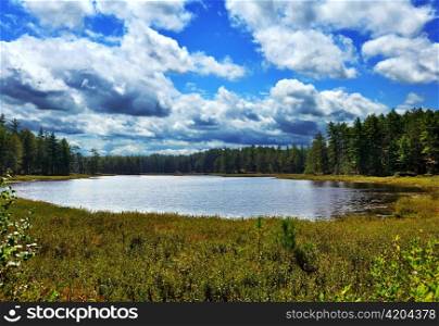 small lake in the forest against a cloudy sky